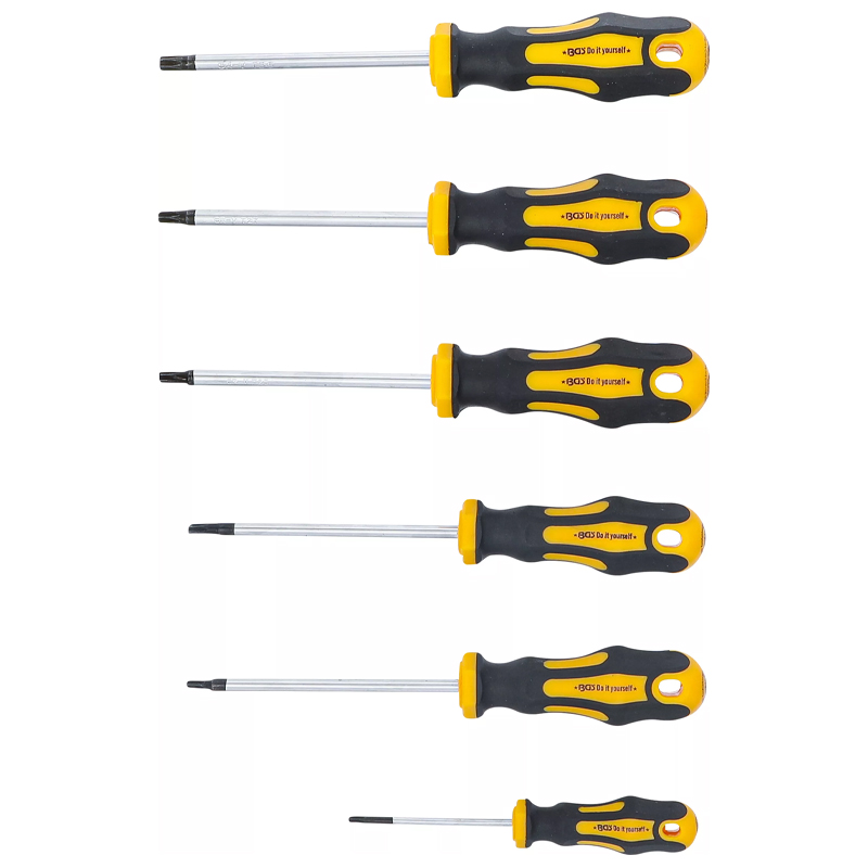 Set 6 surubelnite Torx, T10-T30